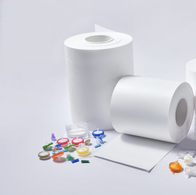 qualità  0.8 Micron PES Polyethersulfone Membrane Filters Hydrophilic Sterilizing Grade fabbrica