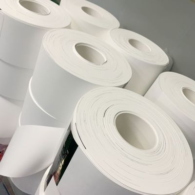 qualità  0.1µM - 5µM Pore Size Nylon (Polyamide) Membrane Filter Circles fabbrica